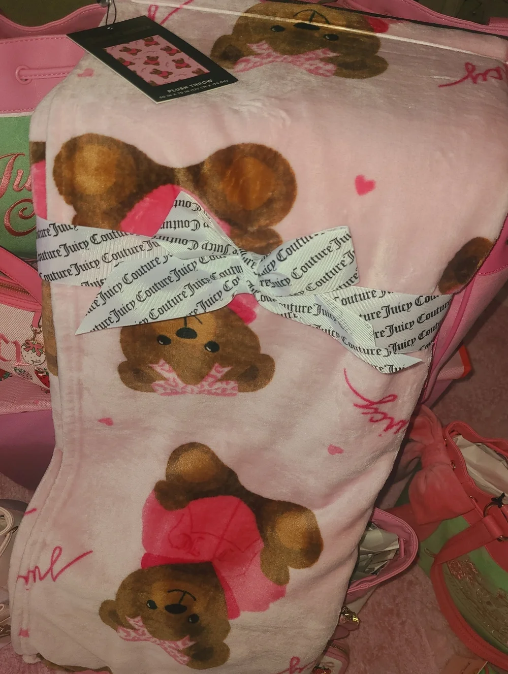 Juicy Couture Blanket 🎀